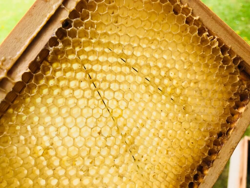 Photo of bee hive